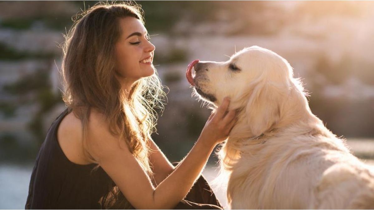 Does your dog follow you everywhere? According to psychology, there is a logical response for that