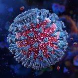 Martín Regueiro, ministro de Salud provincial, informó sobre los casos. Martín Regueiro, ministro de Salud provincial, informó sobre los casos.