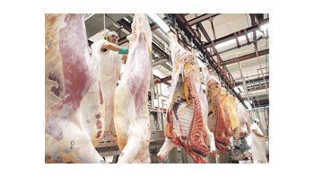 Es el segundo rubro más importante de exportación en ese país después de la soja. Actualmente, produce 535 mil toneladas de carne.