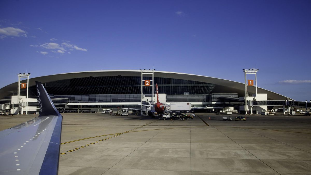 What will the operations of the new flag airline be like?