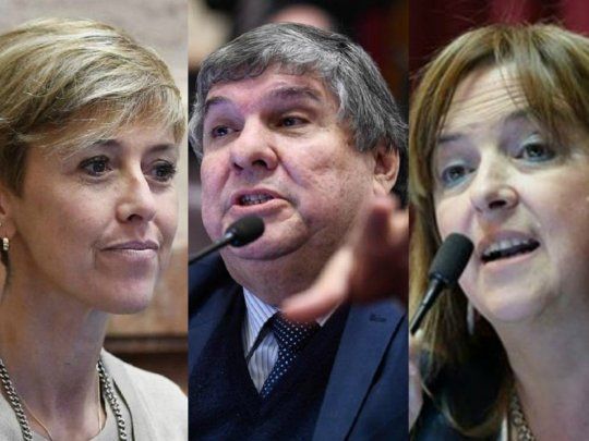 Los senadores Silvina García larraburu, José Mayans y Magdalena Odarda rechazaron la fórmula Macri-Pichetto y tildaron al rionegrino de traidor.&nbsp;