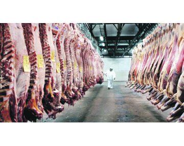 Se anunció la creación del Sistema Integral de Faena (SIF). Se anunció la creación del Sistema Integral de Faena (SIF).