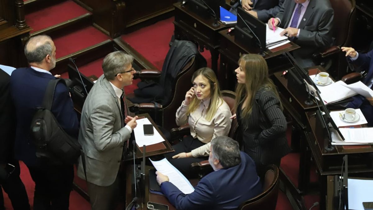 How the opposition victories in the Senate were conceived, which will face a new veto from Javier Milei