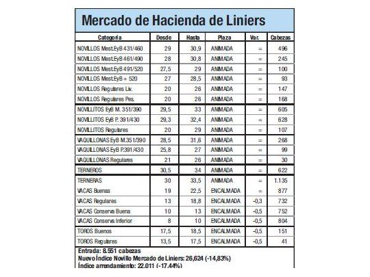 Índice Novillo cayó un 15% en Liniers