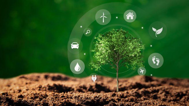 Desarrollo Sostenible