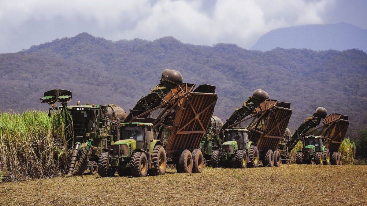 Ledesma finished its harvest in 2022