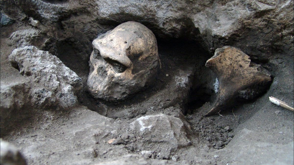 Descubren que los primeros fósiles humanos son más antiguos de lo que se creía