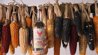 Qué es el Pox y en qué Pueblo Mágico se puede degustar el mejor