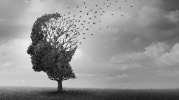sundown syndrome: the devastating symptom that people with Alzheimer's suffer during the night