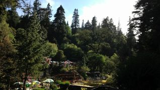 la cascada mas cercana a cdmx que enamora con sus paisajes y es ideal para caminar