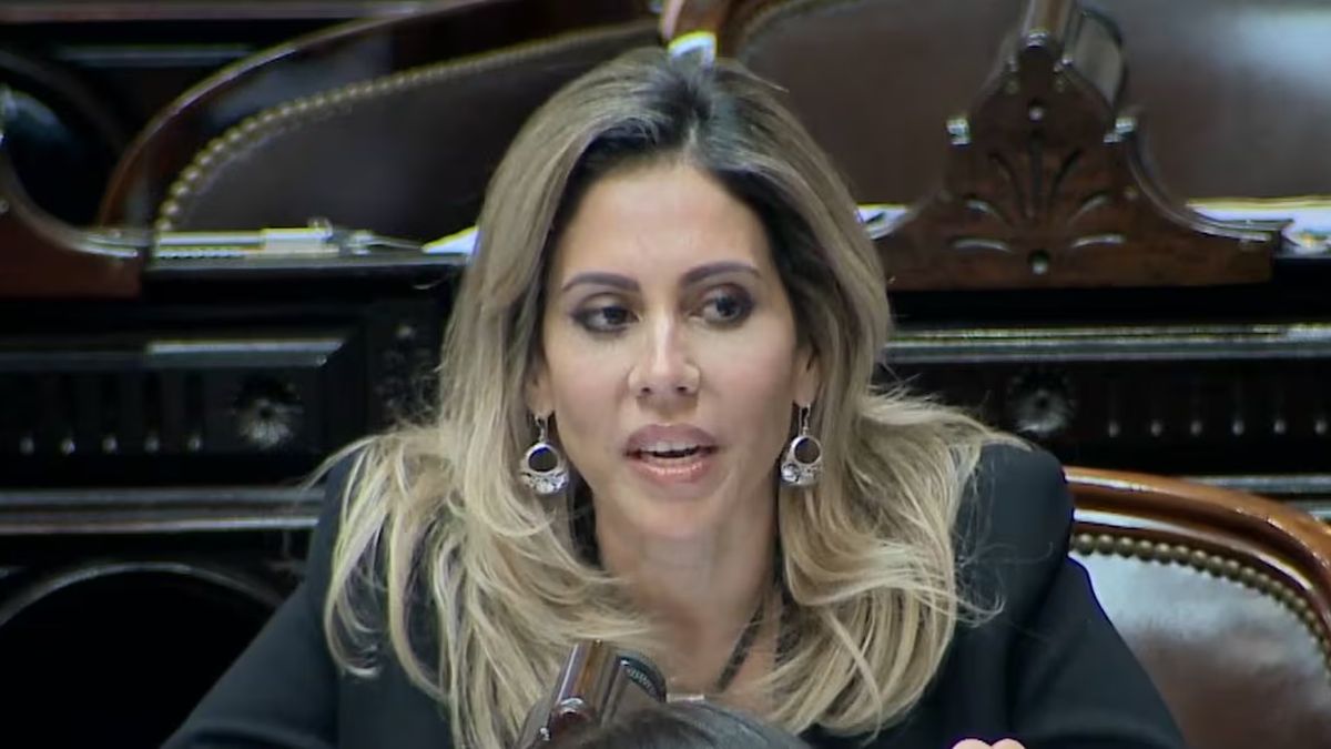 Romina Diez confirmó que el proyecto de Reforma Laboral de su autoría que circula tiene un año y no será el que promueva Milei
