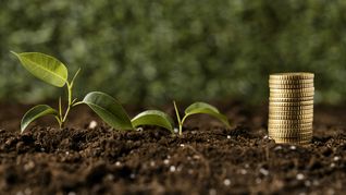 El Banco Mundial prevé una baja del 7% en los valores de materias primas.  El Banco Mundial prevé una baja del 7% en los valores de materias primas.