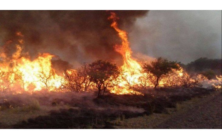 Ya se quemaron más de 600 mil hectáreas en La Pampa y el fuego sigue sin control