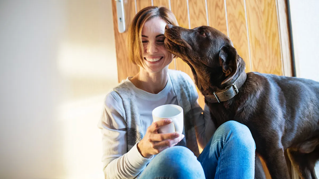 ¿Por qué los perros lamen a sus dueños?