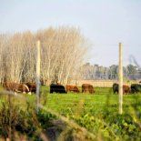 El programa fue creado en 2021 con el objetivo de fortalecer el sistema económico productivo agropecuario, pesquero, agroalimentario y de alimentos de la Provincia de manera sustentable, tanto social como económica y ambientalmente.