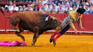 Grave cornada en Sevilla: un famoso torero español debió ser intervenido de urgencia.