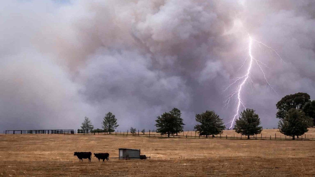 Advierten por el impacto de El Niño en América Latina en medio de la crisis de Ormuz