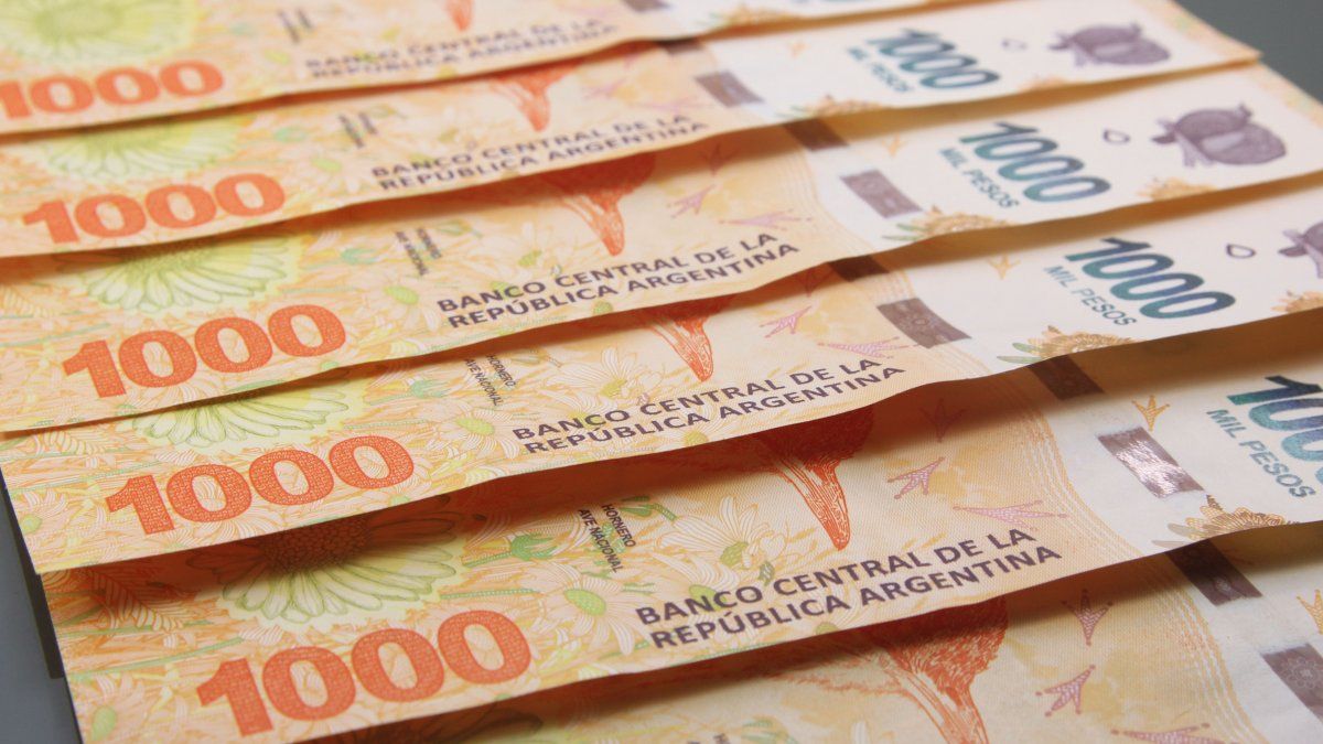 Salaries By Decree Javier Milei Confirmed The Increase For Public 