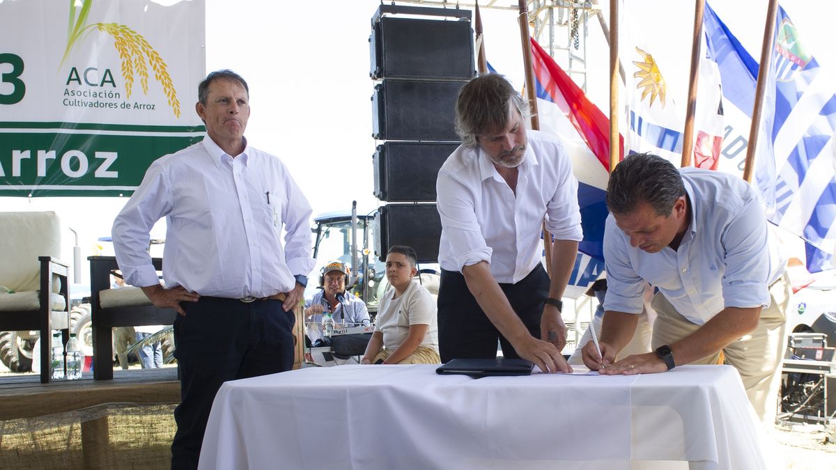 The rice sector calls for the free import of fuels to be competitive in the region