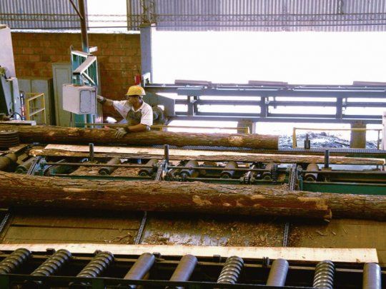 apoyo. El sector foresto-industrial, uno de los beneficiados por el Programa de Eficiencia Energética.