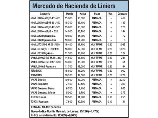 El índice novillo tocó nuevo récord