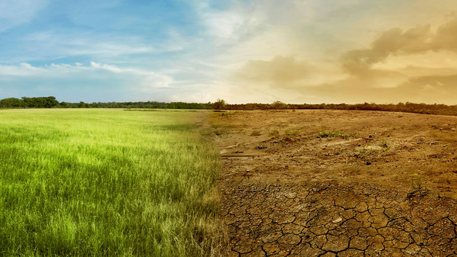 Alerta a científicos los últimos registros térmicos.&nbsp;