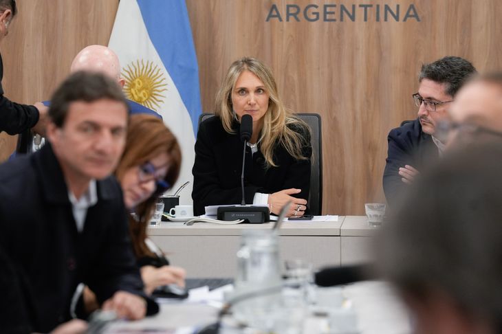 Gabriela Brouwer de Koning, titular de la Comisión de Previsión y Seguridad Social. Gabriela Brouwer de Koning, titular de la Comisión de Previsión y Seguridad Social.
