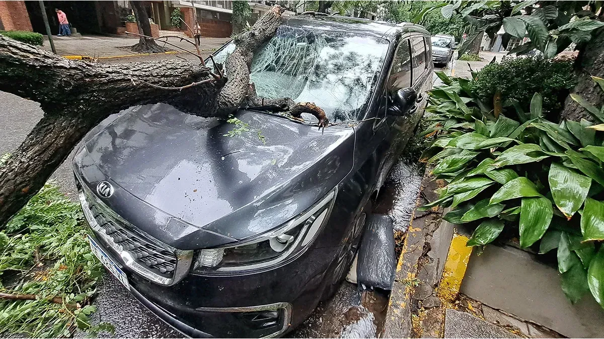 Storm in Buenos Aires Metropolitan Area Destroys Thousands of Cars: What Insurance Covers and How to Make a Claim