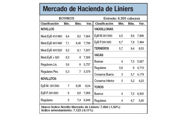 Abundante oferta y escasa calidad