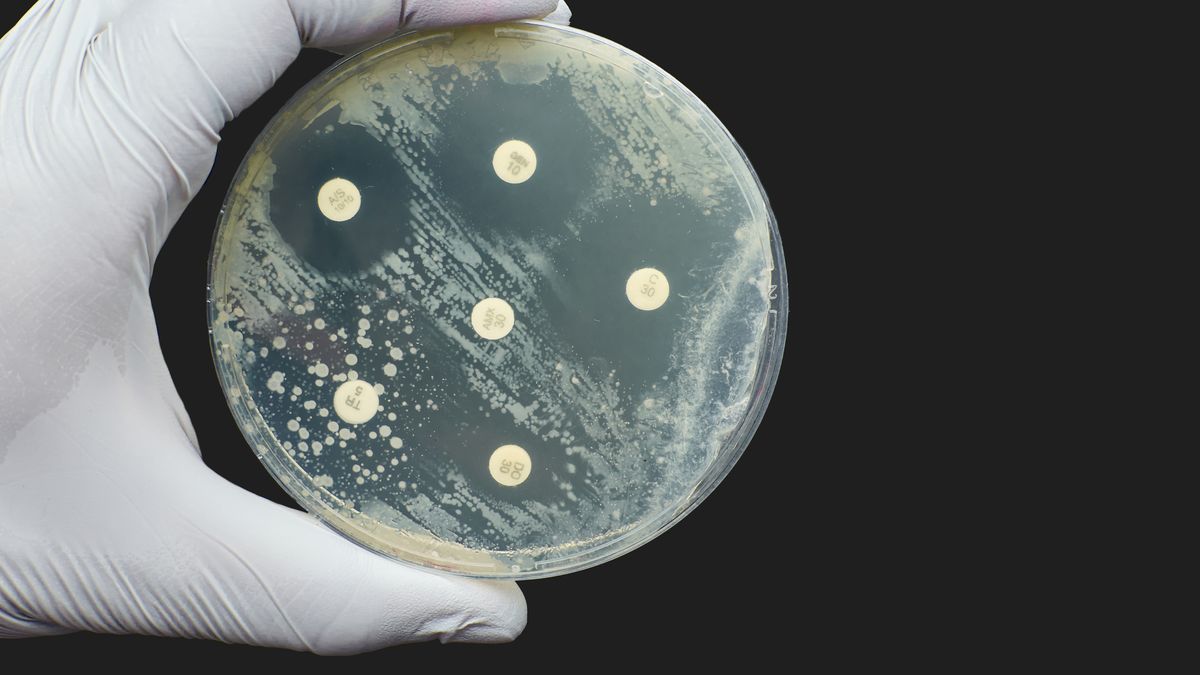 Hay "oportunidad histórica" de reglamentar ley de resistencia antimicrobiana