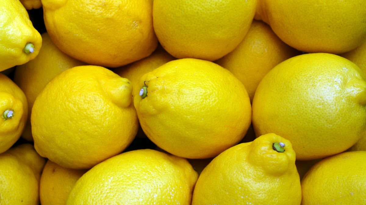lemon company had to pay US$1 million as insurance to export again
