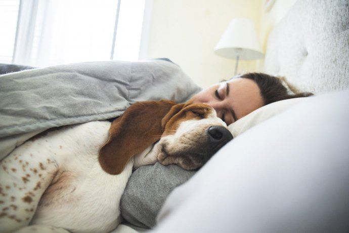 Dormir con tu perro habla mucho m&aacute;s de vos de lo que imagin&aacute;s.&nbsp;