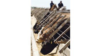 La ONCCA decidió suspender las compensaciones a los establecimientos de engorde a corral debido a que el incremento en el precio de la hacienda vacuna mejoró la competitividad del sector.
