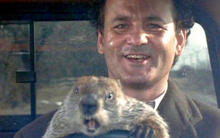 ámbito.com | Dia de la Marmota.jpg