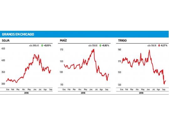 La soja y el maíz consolidaron su recuperación