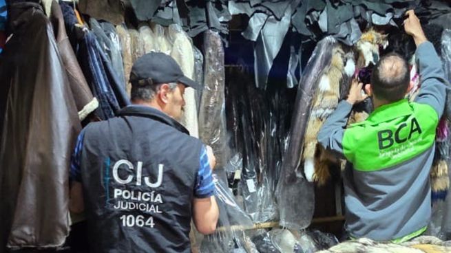 Denuncia e investigación iniciaron la causa contra la venta ilegal de prendas de animales en Villa Crespo.