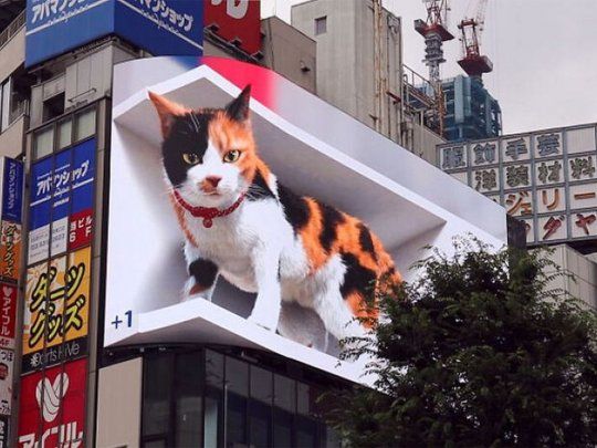 El gigantesco felino es una forma de promocionar la pantalla 4K por parte de Cross Space