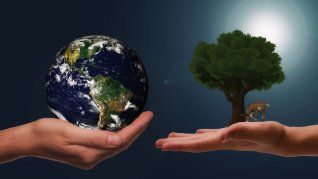 Un hallazgo nacido de residuos comunes impacta a millones al ofrecer un plástico biodegradable. Un hallazgo nacido de residuos comunes impacta a millones al ofrecer un plástico biodegradable.