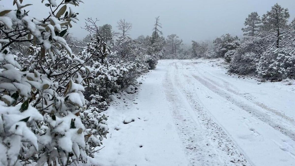 Primera Tormenta Invernal En M Xico D Nde Caer Nieve Y Cu Les Son Los Estados Con Alerta