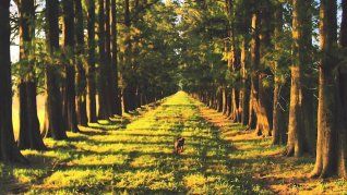 Turismo rural en auge: un rincón de Buenos Aires se volvió tendencia por su cocina local. Turismo rural en auge: un rincón de Buenos Aires se volvió tendencia por su cocina local.