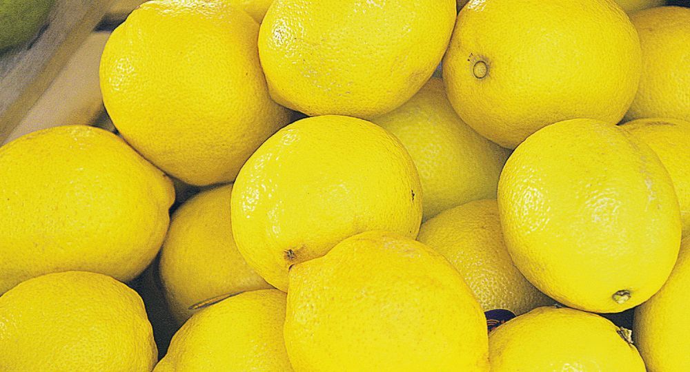 Negocio amarillo. Argentina produce alrededor de 1,5 millón de toneladas al año y Tucumán es la principal provincia productora.