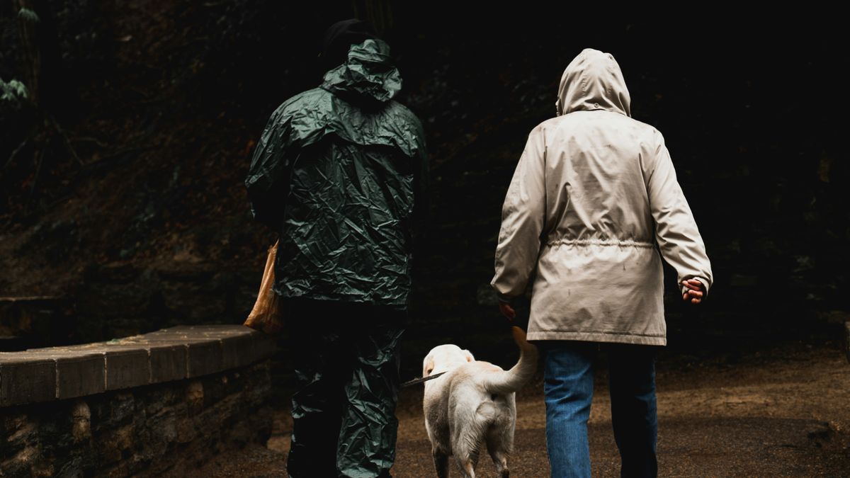 7 ways to take care of your pets on stormy days