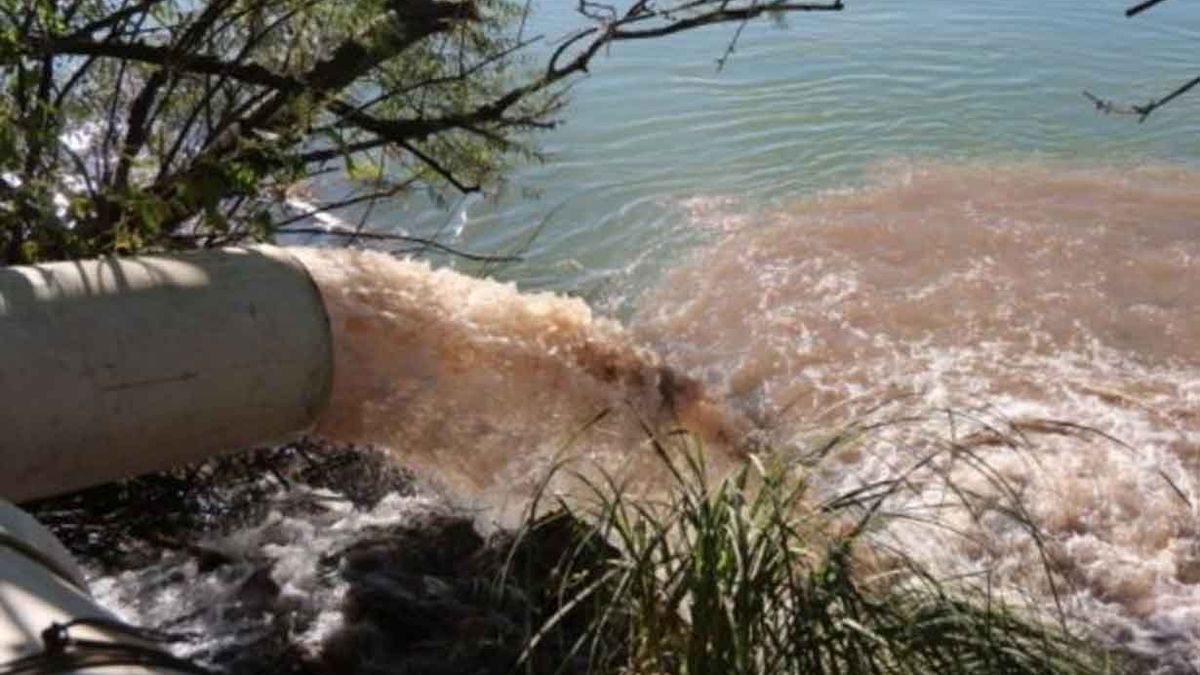 Complaints to the Ministry of the Environment increased by 31% in 2023