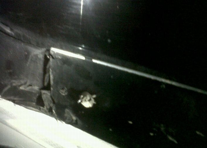 Fotos: @ExcursioOficial