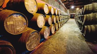 china: el lugar que quieren conquistar las bodegas argentinas