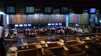 deuda cer: el problema de un mercado debil al descubierto deuda cer: el problema de un mercado debil al descubierto