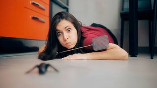 Checa cómo combatir las arañas venenosas de tu casa de forma definitiva.
