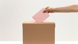 La carrera electoral se vuelve cada vez más nutrida en partidos.