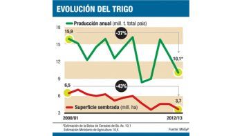 ámbito.com | Efecto Moreno: cosecha de trigo caerá 22,9% en 2013