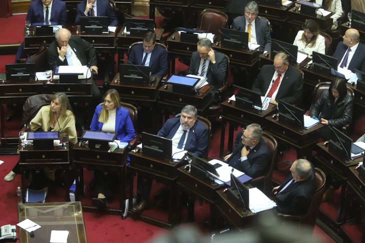 Bloque de Unión por la Patria, en el cierre de la sesión en el Senado. Bloque de Unión por la Patria, en el cierre de la sesión en el Senado.